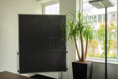 Großaufnahme einer schwarzen Pinnwand an einem Fenster. Hintergrund. Kopierraum. Platz für Text. Rechts grüne Zimmerpflanze. Heizkörper vorhanden. Stehleuchte