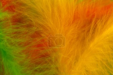 Beautiful multicolored feathers. abstract background with copy space for text. Selective focus, festive easter celebration concept