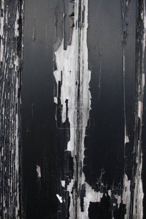 Foto de Primer plano de la puerta de madera con pintura de pelado negro - Imagen libre de derechos