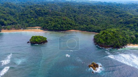 Foto de Vista aérea del bosque tropical desde la playa de Kondang Merak con agua de mar azul oscuro, ubicada en Java Oriental, Indonesia - Imagen libre de derechos