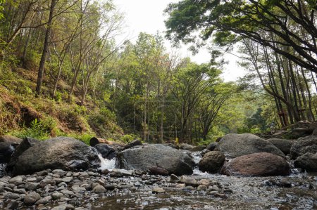 Foto de Cascada del arroyo del río en paisaje forestal en Bedengan Camping Ground Malang, Indonesia - Imagen libre de derechos