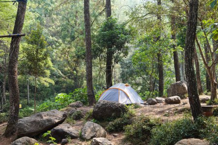 Foto de Camping en el bosque, camping en Bedengan, Java Oriental, Indonesia - Imagen libre de derechos