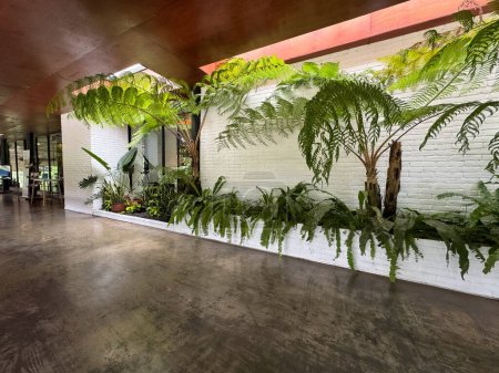 Foto de Una habitación decorada con plantas y árboles verdes - Imagen libre de derechos
