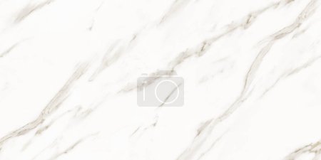 Photo for Thassos statuarietto quartzite, Carrara statuario premium marble - Royalty Free Image