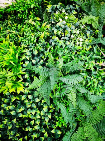 Téléchargez les photos : Fond de groupe de feuilles tropicales vert foncé concept de natur - en image libre de droit