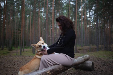 eine schwangere Frau sitzt auf einem Baumstamm im Wald und spielt mit ihrem Corgi-Hund.