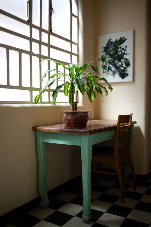 Eine sonnige Ecke mit einer grünen Pflanze auf einem rustikalen Schreibtisch schafft eine gemütliche und friedliche Atmosphäre zu Hause.