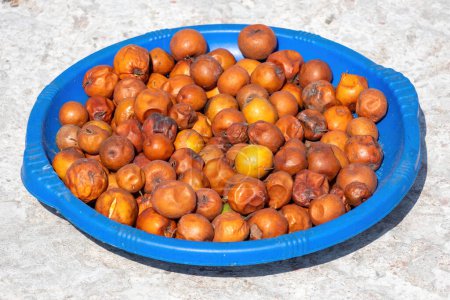 Plums are being dried in the sun. Red jujube fruits dried on a blue plastic bowl. Ziziphus mauritiana also known as Chinese date, and Chinese apple. It is locally called Boroi or Kul in Bangladesh.