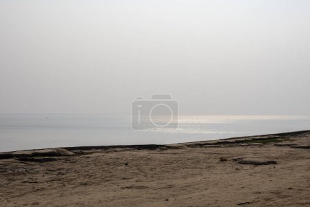 Paisajes de Noakhali Musapur Sea Beach. Este lugar también se conoce como Musapur Closer. Hermoso paisaje natural.