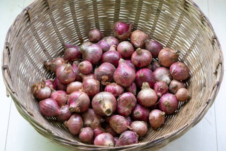 Ein Haufen frischer Zwiebeln im Korb. Es ist ein Gemüse, das auch als Zwiebel- oder Gemeine Zwiebel bekannt ist. In Bangladesch heißt sie Peyaj.