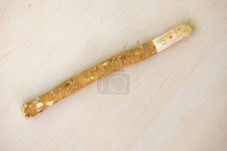 Islamische natürliche Zahnbürste Miswak. Es ist ein traditioneller Kaustift, der zur Mundhygiene verwendet wird. Es wird aus Wurzeln, Zweigen und Stamm der Salvadora persica Pflanze hergestellt, die auch als Zahnbürstenbaum bekannt ist.