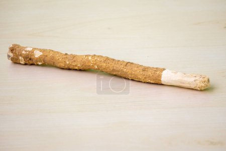 Islamische natürliche Zahnbürste Miswak. Es ist ein traditioneller Kaustock, der zur Mundhygiene verwendet wird und aus den Wurzeln, Zweigen und Stielen der Salvadora persica-Pflanze hergestellt wird..