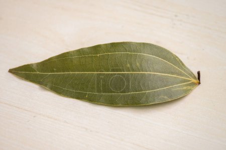Feuille de laurier séchée sur une surface texturée en bois. Il est également connu sous le nom de Tej Pata, feuilles de Cassia, Cinnamomum tamala, feuille de baie indienne, écorce indienne, feuille de malabar, laurier de baie, etc..