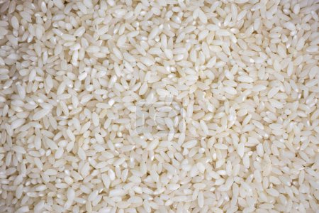Lebensmittel Reis Hintergrund. Es ist der Premium-Chinigura-Reis aus Bangladesch, der auch als Kalijira-Reis bekannt ist. Es wird zum Kochen von Polao, Khichuri, Biriyani oder dem traditionellen bangladeschischen Payesh verwendet.