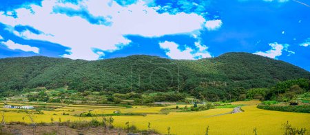 Foto de Vista panorámica de una tierra agrícola en Corea del Sur con cielo azul y nubes - Imagen libre de derechos
