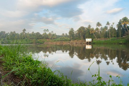 Photo for A beutiful scenery of landscape with river, sky in village in kerala, india - Royalty Free Image