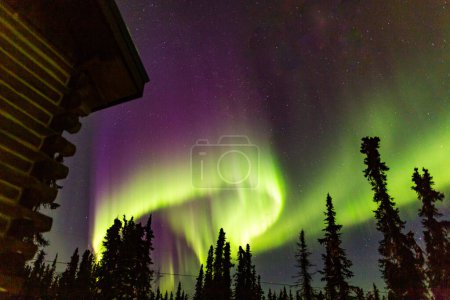 Luces boreales en Fairbanks, Alaska