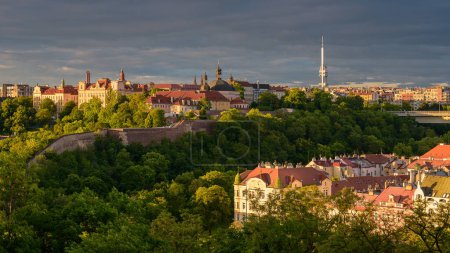 Vysehrad View: Nusle Bridge and Historic Wall Against Prague Panorama