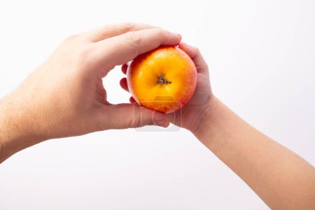 Mano de granjero dando una manzana a niña pequeña mano. Cadenas de suministro de alimentos cortas Concepto SFSCs.