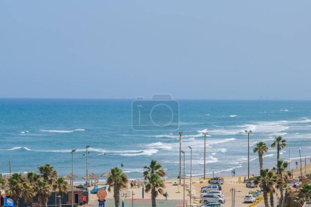 Photo for Embankment. Netanya, Israel. May 23, 2023. Palms on the beach in Netanya tropical city on the Mediterranean coast - Royalty Free Image