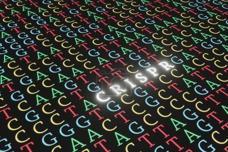 Bunte Buchstaben von A, C, G und T füllten den gesamten schwarzen Bildschirm mit einem Ausschnitt, der in das leuchtend weiße Alphabet CRISPR umgewandelt wurde. Illustration des Konzepts der Genom-Bearbeitung der DNA-Sequenz