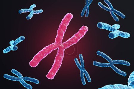 Téléchargez les photos : Chromosome rouge brillant se détachant des autres chromosomes bleus sur fond noir foncé. Illustration du concept d'ADN, de matériel génétique et de reproduction - en image libre de droit