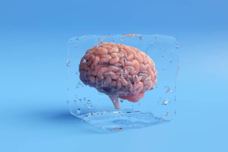 Human brain in a transparent ice cube on blue background. Illustration of the concept of cryonics, low temperature freezing and storage of brains and other remains