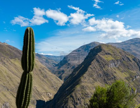 Eisenbahn, die sich durch den Berg in Ecuador schlängelt: Nariz del Diablo. Grüner Kaktus.