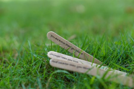 Téléchargez les photos : Gros plan du message sur le bâton de crème glacée sur l'herbe comme un concept de l'esprit de vie - en image libre de droit