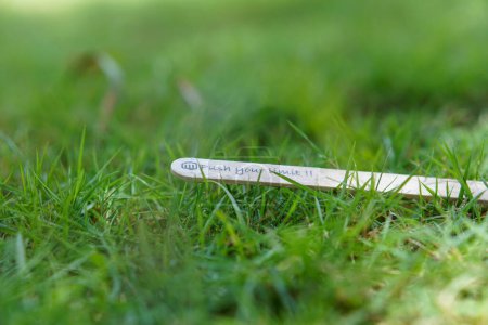Téléchargez les photos : Gros plan du message sur le bâton de crème glacée sur l'herbe comme un concept de l'esprit de vie - en image libre de droit