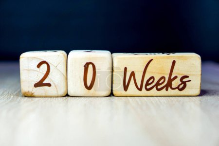 Téléchargez les photos : Jalon de 20 semaines de grossesse écrit sur un cube en bois avec un fond noir - en image libre de droit