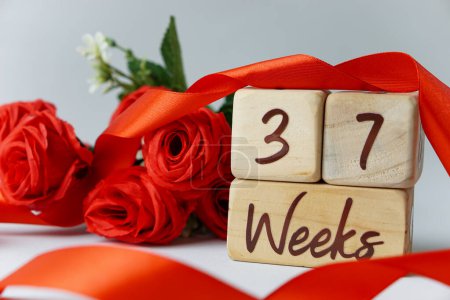 Téléchargez les photos : 37 semaines d'âge gestationnel jalon écrit sur un cube en bois avec des roses rouges et des rubans, et un fond blanc - en image libre de droit