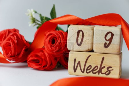 Téléchargez les photos : 9 semaines d'âge gestationnel jalon écrit sur un cube en bois avec des roses rouges et des rubans, et un fond blanc - en image libre de droit
