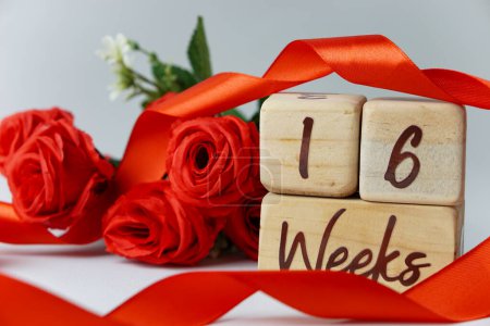 Téléchargez les photos : Jalon d'âge gestationnel de 16 semaines écrit sur un cube en bois avec des roses rouges et des rubans, et un fond blanc - en image libre de droit