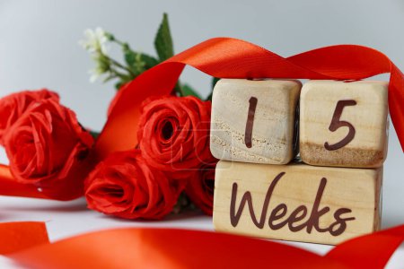 Téléchargez les photos : Jalon de l'âge gestationnel de 15 semaines écrit sur un cube en bois avec des roses rouges et des rubans, et un fond blanc - en image libre de droit