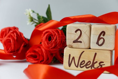 Téléchargez les photos : 26 semaines d'âge gestationnel jalon écrit sur un cube en bois avec des roses rouges et des rubans, et un fond blanc - en image libre de droit