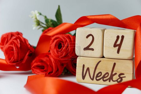 Téléchargez les photos : 24 semaines d'âge gestationnel jalon écrit sur un cube en bois avec des roses rouges et des rubans, et un fond blanc - en image libre de droit