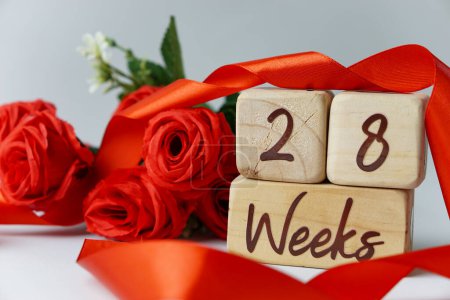 Téléchargez les photos : 28 semaines d'âge gestationnel jalon écrit sur un cube en bois avec des roses rouges et des rubans, et un fond blanc - en image libre de droit