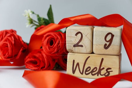 Téléchargez les photos : 29 semaines d'âge gestationnel jalon écrit sur un cube en bois avec des roses rouges et des rubans, et un fond blanc - en image libre de droit