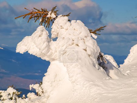 Téléchargez les photos : Paysage ukrainien dans la montagne des Carpates - en image libre de droit