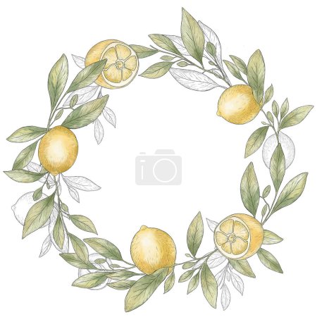 Téléchargez les photos : Couronne aquarelle de branches de citron. Cadre au citron. Course noire, croquis au citron - en image libre de droit