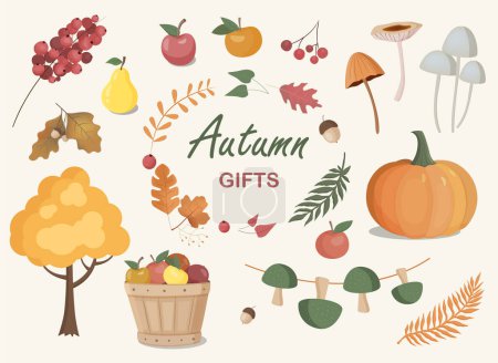 Illustration for Vector collection with autumn elements. Fall clipart set with leaves, pumpkin, fruits and mushrooms. Autumn gifts. - Royalty Free Image