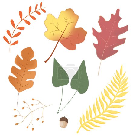 Ilustración de Conjunto de hojas de otoño. Ilustración vectorial aislada. Colección colorida de hojas de otoño. - Imagen libre de derechos