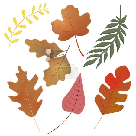 Ilustración de Conjunto de hojas coloridas de otoño. Elemento de diseño de otoño. Aislado sobre fondo blanco. - Imagen libre de derechos