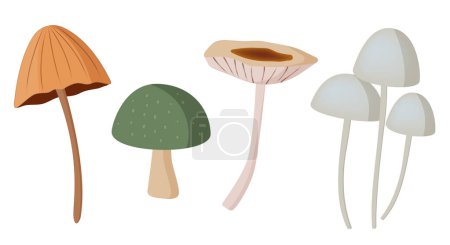 Illustration for Different mushrooms set. Vector mushroom isolated on white. - Royalty Free Image