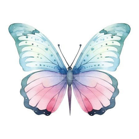 Téléchargez les illustrations : Aquarelle papillon exotique. Illustration vectorielle avec papillon dessiné à la main, papillon. Clip art image. - en licence libre de droit