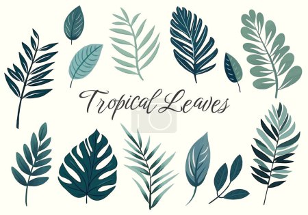 Illustration for Tropical vector leaves. Hand drawn floral illustration. Set of exotic leaves. Palm leaves - Royalty Free Image