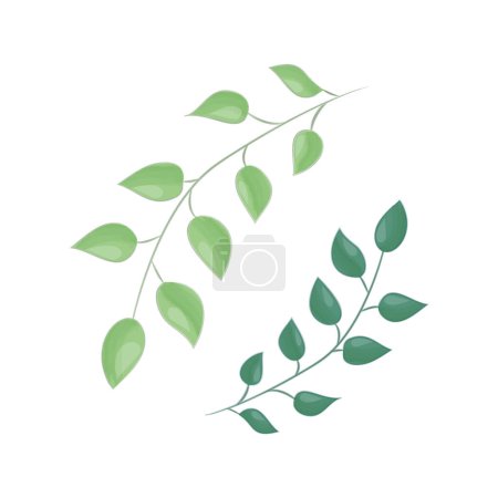 Téléchargez les illustrations : Branche d'arbre avec des feuilles sur fond blanc. Illustration vectorielle - en licence libre de droit