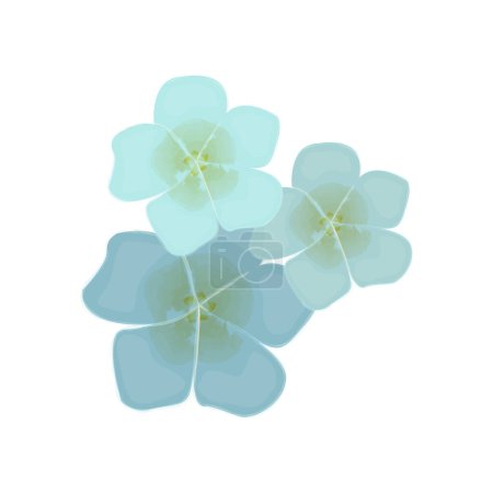 Téléchargez les illustrations : Trois fleurs bleues. Fleurs vectorielles printanières, illustration - en licence libre de droit