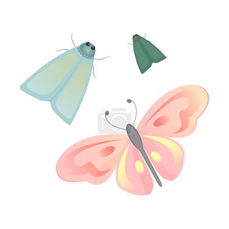 Ilustración de Conjunto vectorial de polillas coloridas y mariposa. Insectos vectores - Imagen libre de derechos
